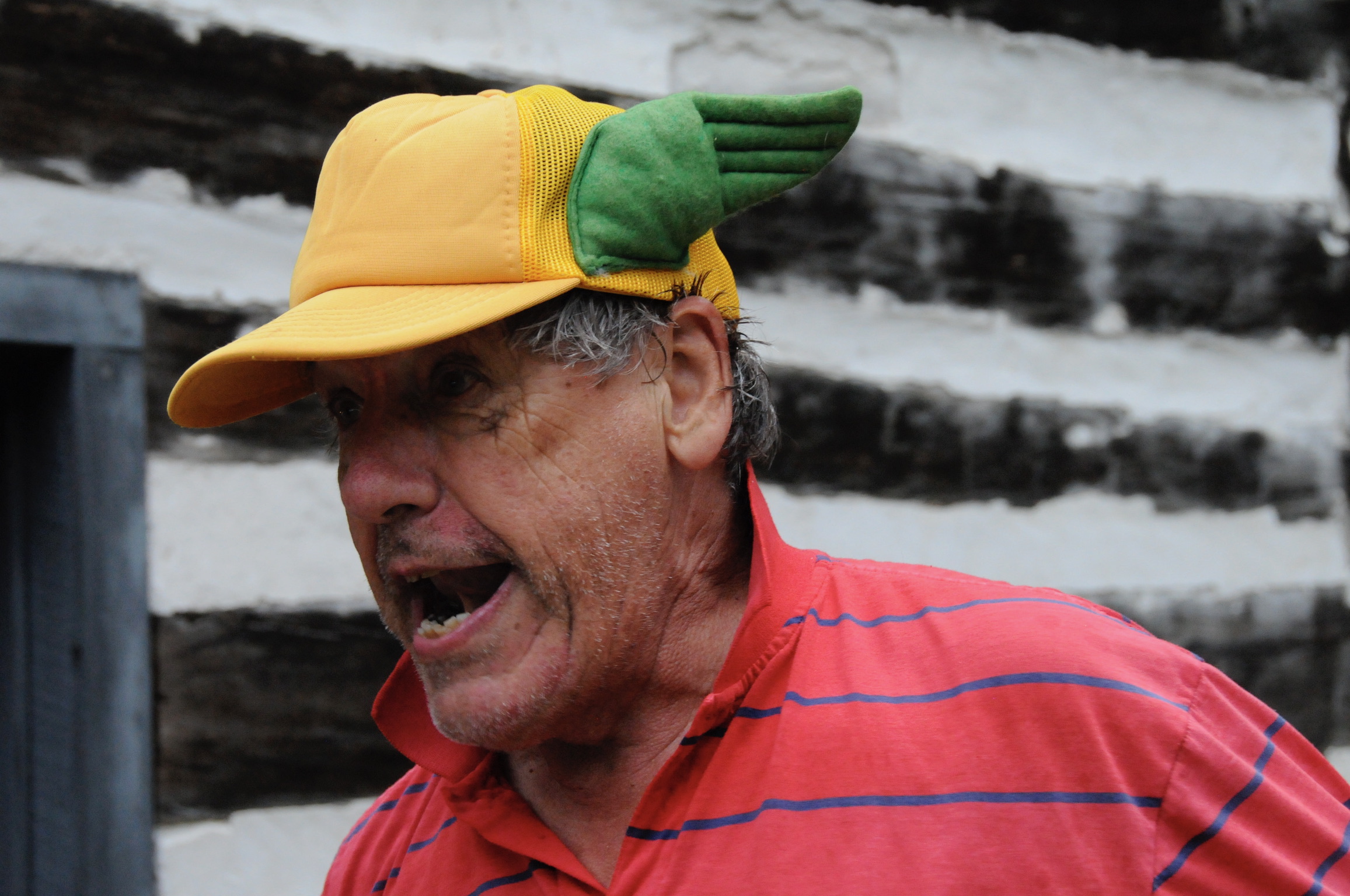 Dad Photo - Green Wings
